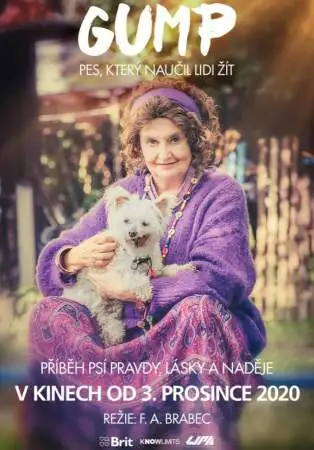 Гамп — пёс, который научил людей жить онлайн